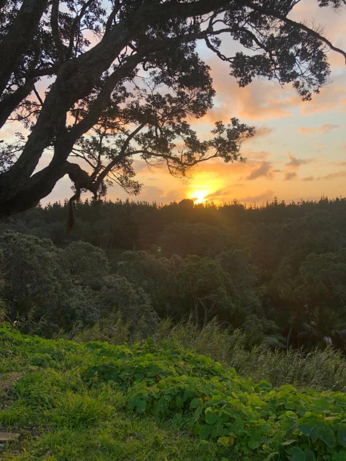 Muriwai Lodge Екстериор снимка