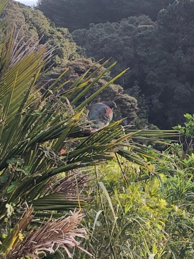 Muriwai Lodge Екстериор снимка